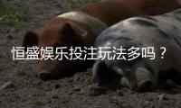 恒盛娱乐投注玩法多吗？深度解析平台特色与游戏选择