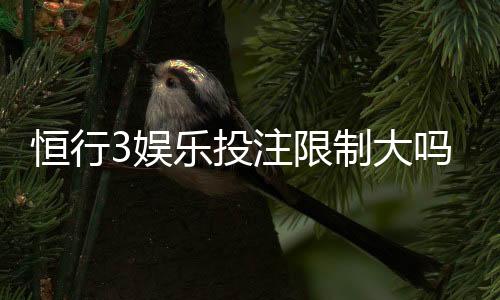 恒行3娱乐投注限制大吗?资深玩家解析平台规则与实战策略