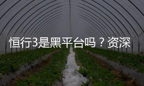 恒行3是黑平台吗?资深玩家揭秘其真实性与安全性