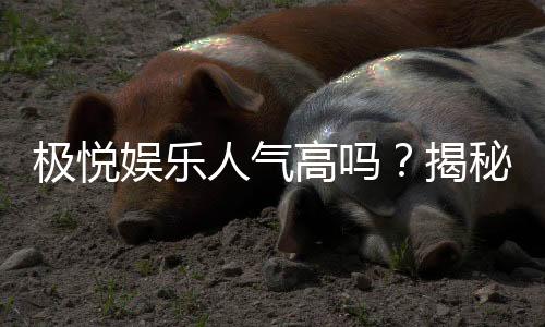极悦娱乐人气高吗?揭秘平台火爆背后的真实原因