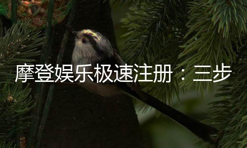 摩登娱乐极速注册:三步完成极速开户畅玩真人电游