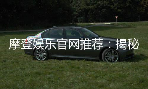 摩登娱乐官网推荐:揭秘高人气平台的独家优惠与游戏体验