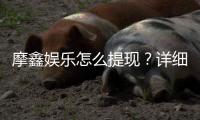 摩鑫娱乐怎么提现？详细步骤与到账时间解析