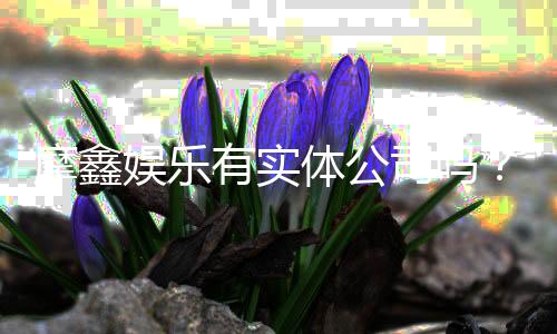 摩鑫娱乐有实体公司吗?深度解析其线下实体背景与实力