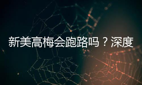 新美高梅会跑路吗?深度解析平台信誉与资金安全保障