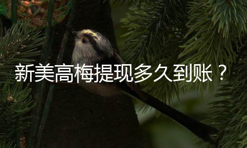 新美高梅提现多久到账?到账时间及流程详解