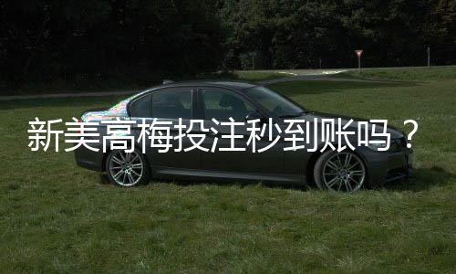 新美高梅投注秒到账吗?实测到账速度与技巧分享