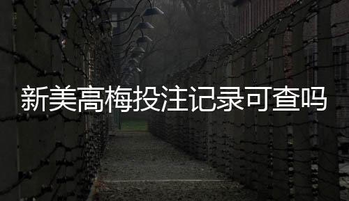 新美高梅投注记录可查吗?一文详解查询方法与注意事项