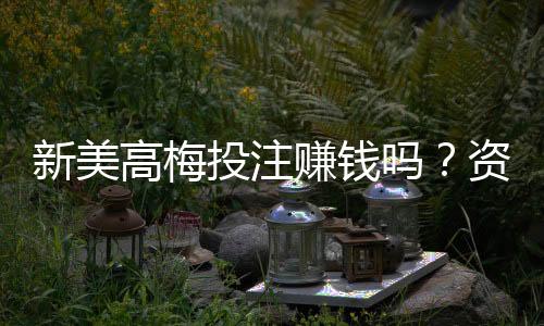 新美高梅投注赚钱吗?资深玩家揭秘盈利技巧与实战心得