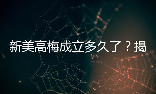 新美高梅成立多久了?揭秘这家娱乐巨头的辉煌发展史