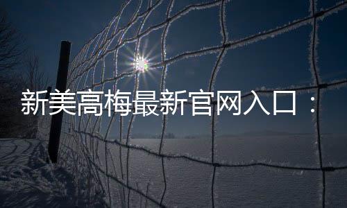 新美高梅最新官网入口:畅享豪华娱乐体验与独家优惠