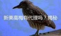 新美高梅有代理吗？揭秘官方合作渠道与代理加盟政策