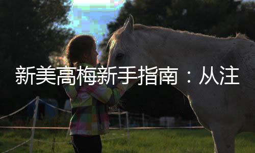 新美高梅新手指南:从注册到首存的完整攻略