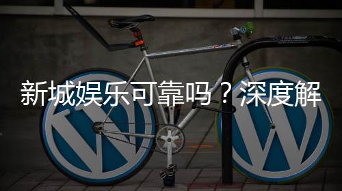 新城娱乐可靠吗?深度解析其平台安全性与玩家体验
