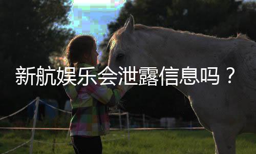 新航娱乐会泄露信息吗?深度解析平台安全性与隐私保护措施