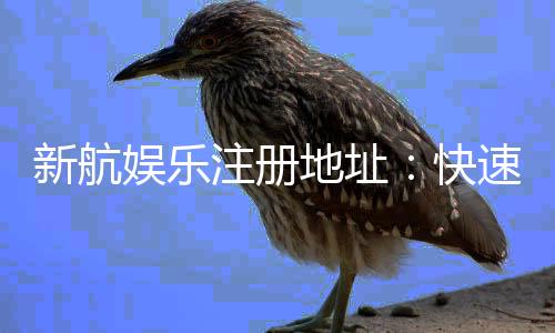 新航娱乐注册地址:快速获取官网最新入口与安全注册指南