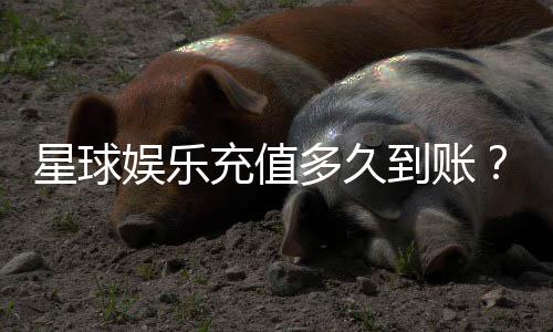 星球娱乐充值多久到账？到账时间与充值方式详解