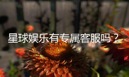 星球娱乐有专属客服吗？为您揭秘VIP一对一服务体验