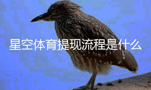 星空体育提现流程是什么？新手一步步操作教程、到账时间与手续费说明