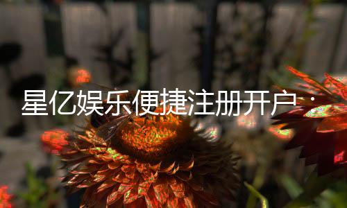 星亿娱乐便捷注册开户:快速开户指南与独家优惠解析