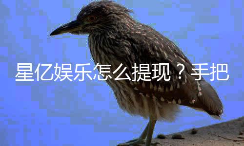 星亿娱乐怎么提现?手把手教你快速到账技巧