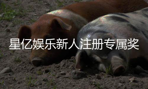 星亿娱乐新人注册专属奖励:首存礼包与高额返利等你拿
