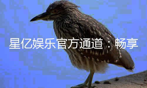 星亿娱乐官方通道:畅享顶级电子游艺的尊贵体验