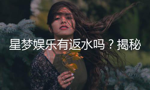 星梦娱乐有返水吗?揭秘返水政策与玩家福利