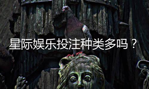 星际娱乐投注种类多吗?全面解析平台热门游戏与特色玩法