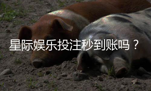 星际娱乐投注秒到账吗?实测到账速度与平台可靠性解析