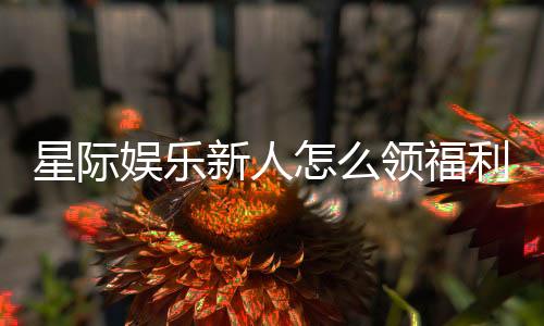 星际娱乐新人怎么领福利?手把手教你轻松获取首存礼包
