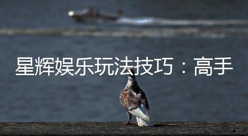 星辉娱乐玩法技巧:高手必备的实战秘籍与策略解析