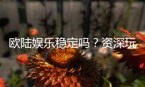 欧陆娱乐稳定吗?资深玩家解析平台安全性与游戏体验