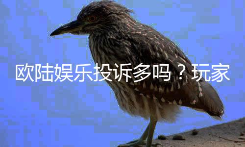 欧陆娱乐投诉多吗?玩家真实反馈与平台解析