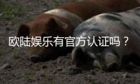 欧陆娱乐有官方认证吗？权威解答与安全游戏指南