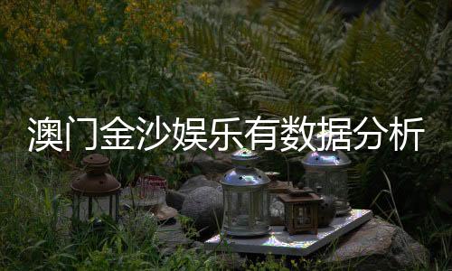澳门金沙娱乐有数据分析吗?深度解析其数据统计与玩家策略