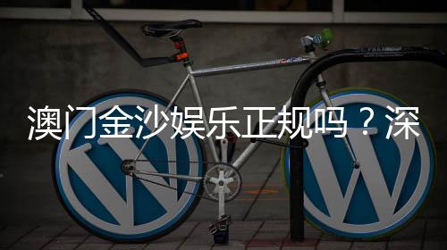 澳门金沙娱乐正规吗?深度解析其正规性与玩家体验