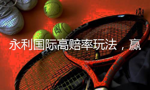 永利国际高赔率玩法,赢得你的财富之路