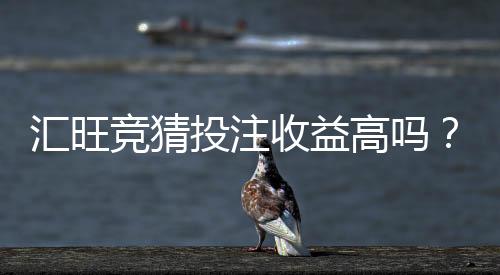 汇旺竞猜投注收益高吗?深度解析盈利模式与实战技巧