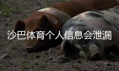沙巴体育个人信息会泄漏吗?安全风险评估、真实案例与防护全攻略