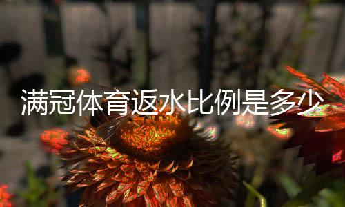 满冠体育返水比例是多少?最新返水比例、计算方法与领取攻略