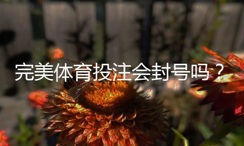 完美体育投注会封号吗?封号原因、申诉流程与防封实用指南
