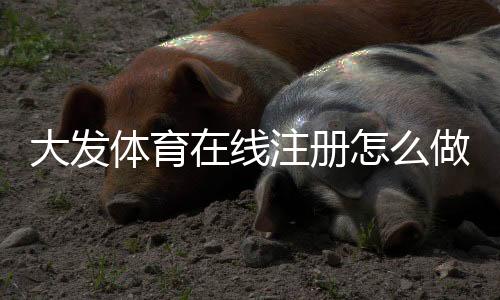 大发体育在线注册怎么做?新手开户步骤、实名认证与安全注意事项详解