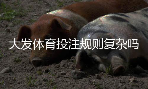 大发体育投注规则复杂吗?新手一分钟看懂规则与常见玩法
