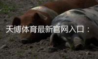 天博体育最新官网入口：官方登录、APP下载与安全访问全攻略