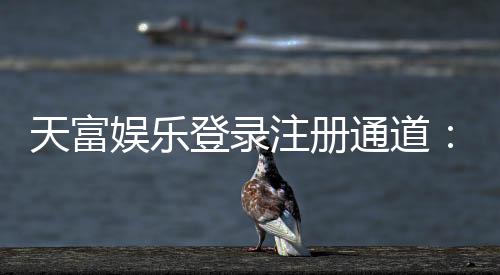 天富娱乐登录注册通道:快速注册指南与独家优惠领取