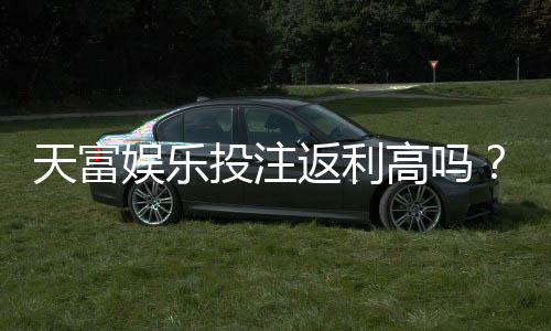 天富娱乐投注返利高吗?揭秘高返利平台真实福利与玩法