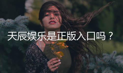 天辰娱乐是正版入口吗?资深玩家揭秘平台安全性与游戏体验