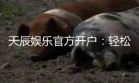 天辰娱乐官方开户：轻松注册即享豪华游戏礼包与高额返水