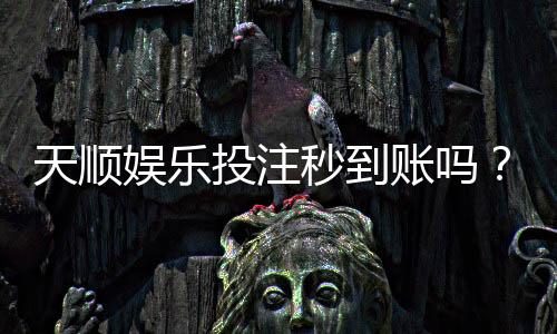 天顺娱乐投注秒到账吗?实测到账速度与平台优势解析
